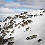 hotham9