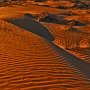 SimpsonDesert3