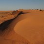 SimpsonDesert4